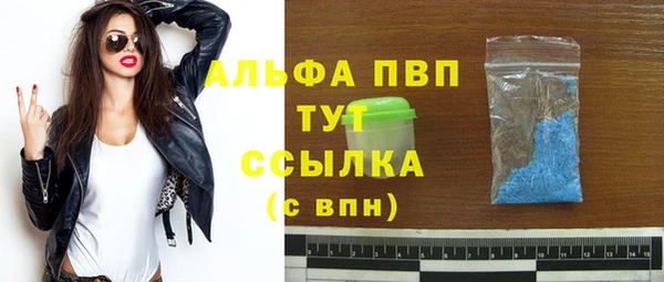 ГАЛЛЮЦИНОГЕННЫЕ ГРИБЫ Вязьма
