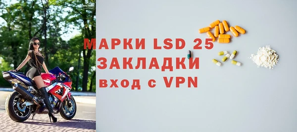 ГАЛЛЮЦИНОГЕННЫЕ ГРИБЫ Вязьма