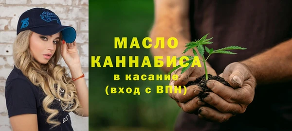 тгк Вяземский