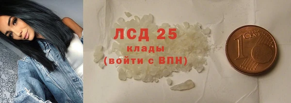ГАЛЛЮЦИНОГЕННЫЕ ГРИБЫ Вязьма