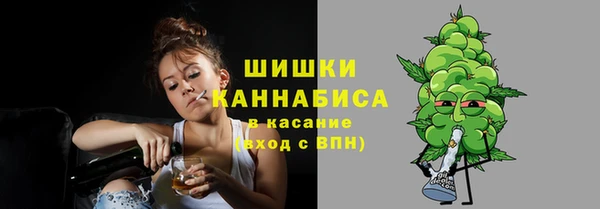 тгк Вяземский