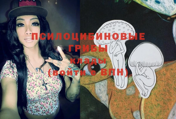 ГАЛЛЮЦИНОГЕННЫЕ ГРИБЫ Вязьма