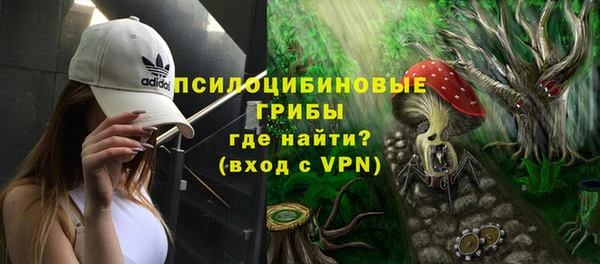 дживик Вязники