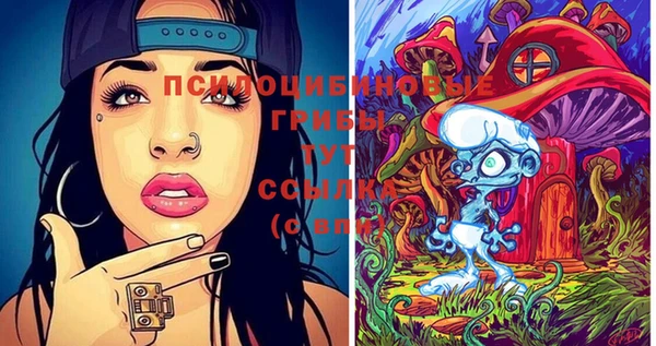ГАЛЛЮЦИНОГЕННЫЕ ГРИБЫ Вязьма